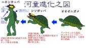 やしきたかじんさんの冠番組で「後妻業」を特集…出演者が加藤茶の名前を口にする場面も