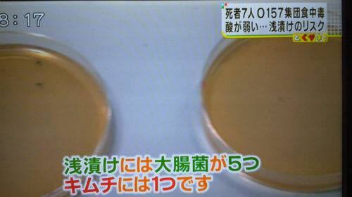 平均視聴率5%台…フジテレビ危険水域、ついにタレント離れ＆逃避か　大改編も大コケ