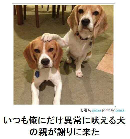 人のボケにツッコミしないトピ