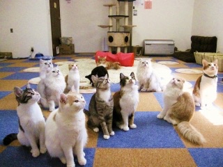 経営者になるとしたら、どんな会社を作りたい？