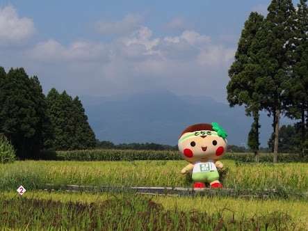 トピズレしていくトピ