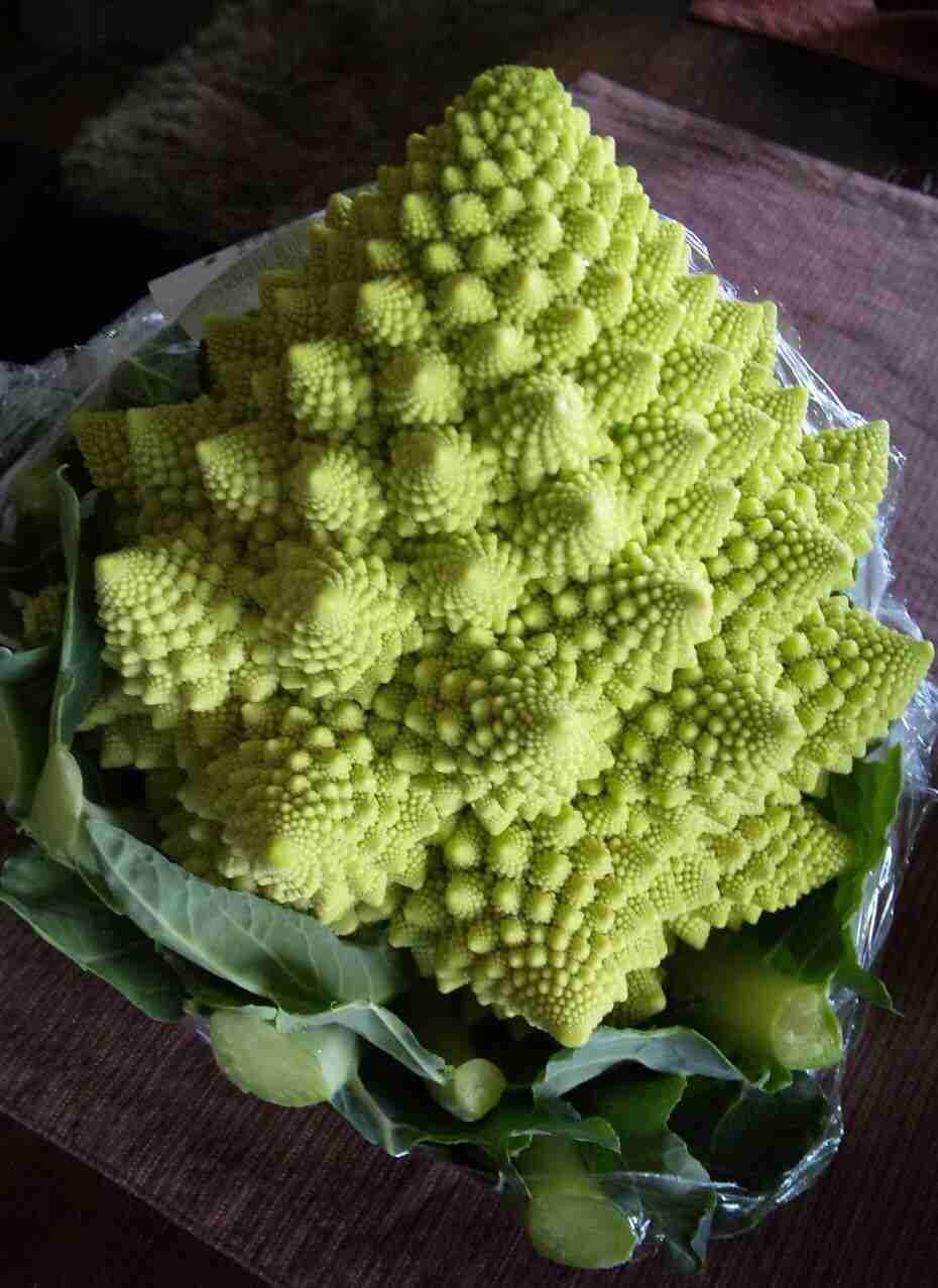 食べた事ある物にプラス 食べた事ない物にマイナスするトピ