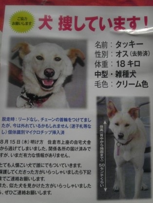 雑種の犬(ミックス犬)を飼ってる人、飼ってた人