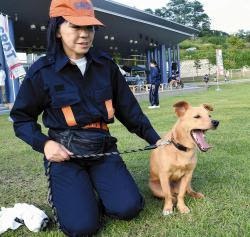 雑種の犬(ミックス犬)を飼ってる人、飼ってた人