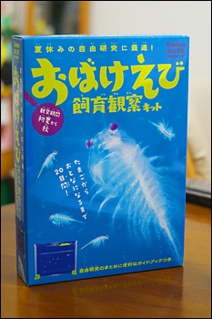20代半ば女性が貰って嬉しいもの