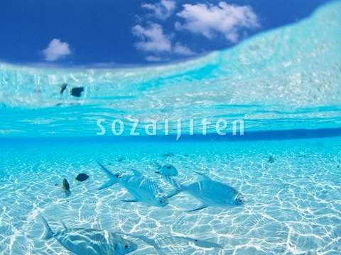 夏が待ち遠しい人！