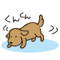 生理的に受け付けない…他人の行動