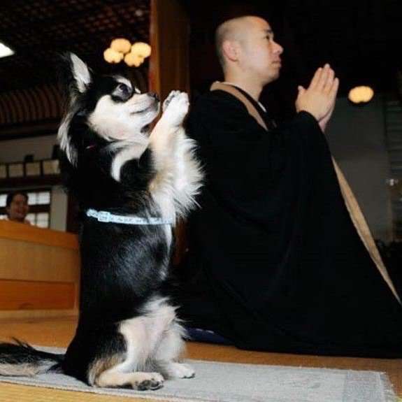 幽霊を見たことある人いますか？