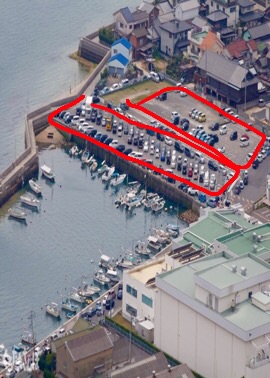「とくダネ!」のウサギ島VTRに批判、禁止行為“抱っこ”する外国人の映像
