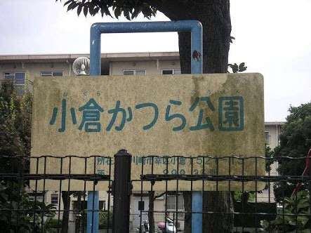「とくダネ!」のウサギ島VTRに批判、禁止行為“抱っこ”する外国人の映像