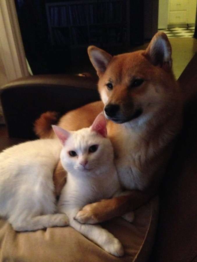 女性にキュンとした瞬間