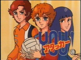 バレーボール好きな人