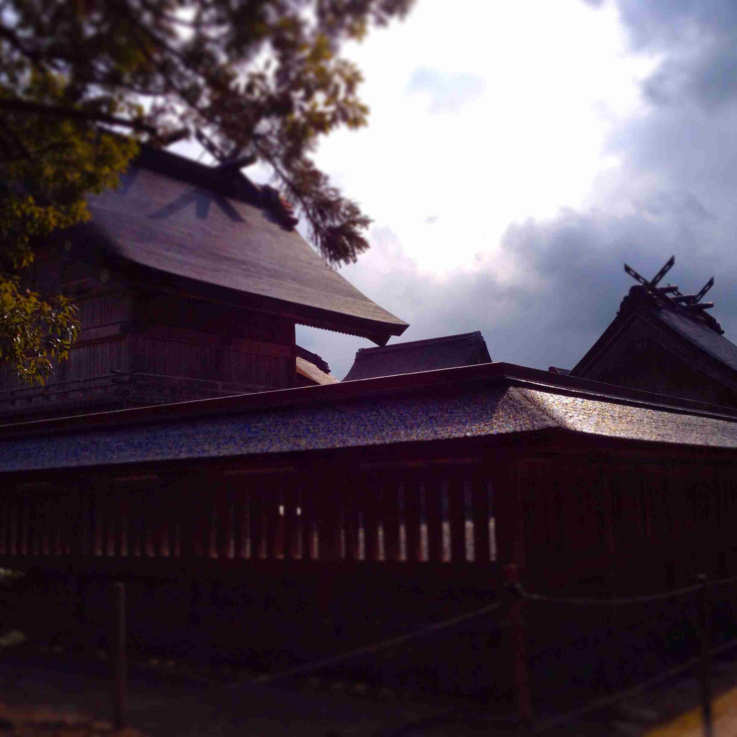 お気に入りのお寺、神社はありますか