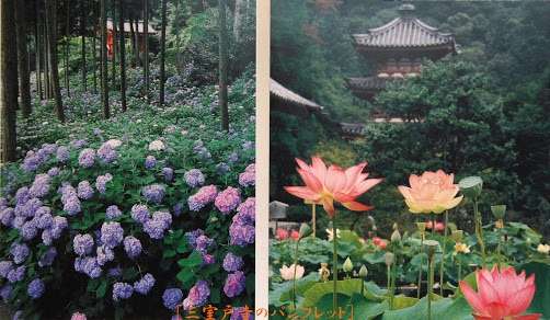 お気に入りのお寺、神社はありますか