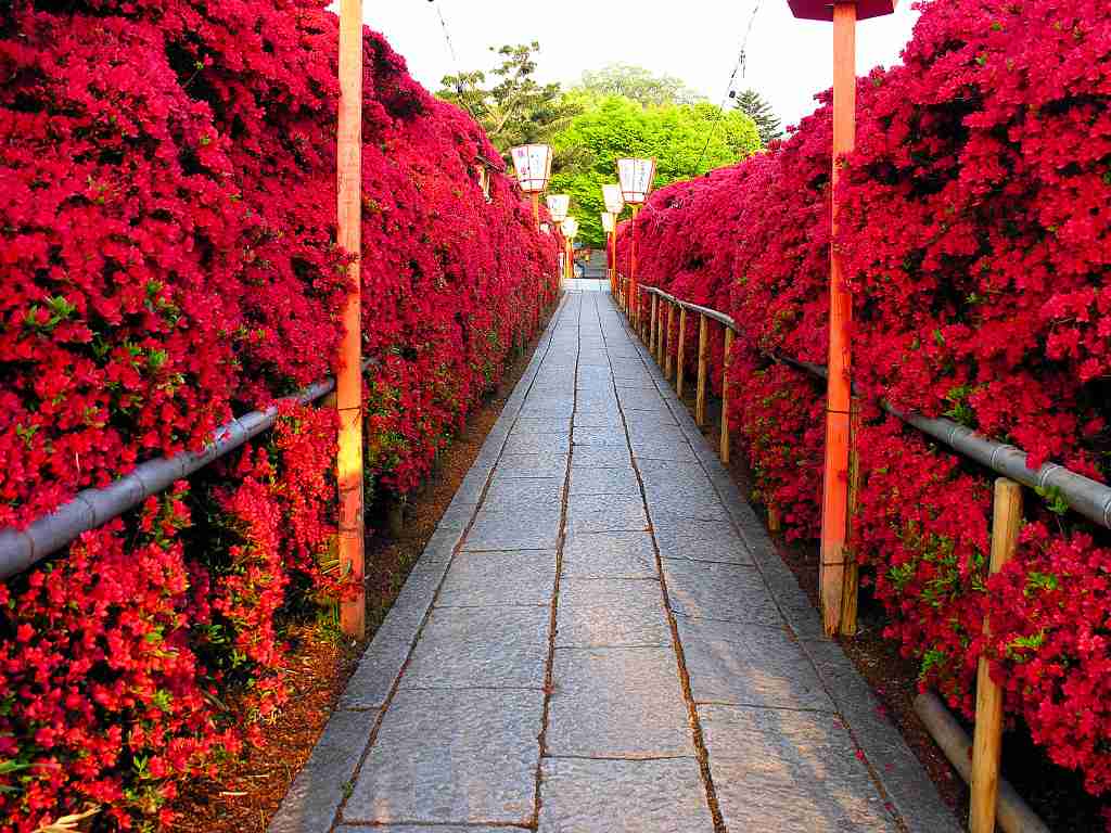 お気に入りのお寺、神社はありますか