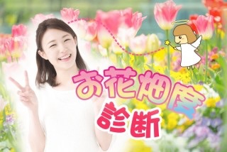 花畑だったことをお詫びするトピ