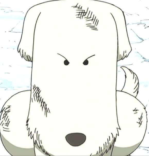「ONE PIECE」の好きなキャラクター