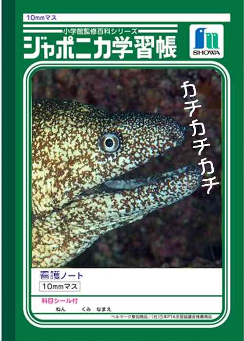 「(2億円の)遺贈を放棄して欲しい」やしきたかじん妻さくら氏が返還請求　OSAKAあかるクラブ認める