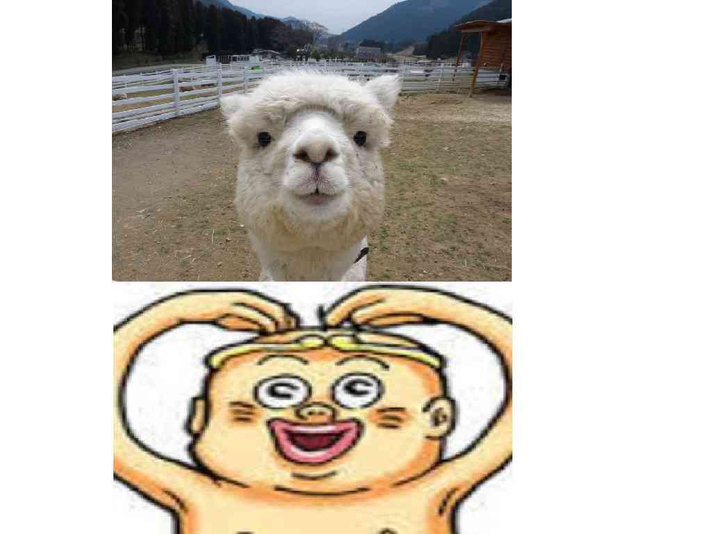 あなたはどっち派?