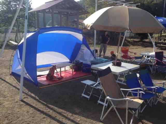 最近の運動会の光景