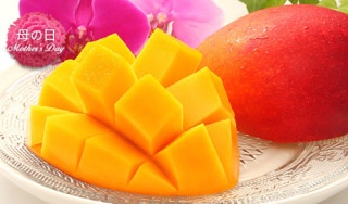故郷のイチオシのお土産