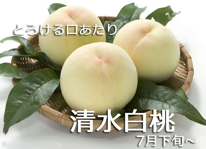 故郷のイチオシのお土産