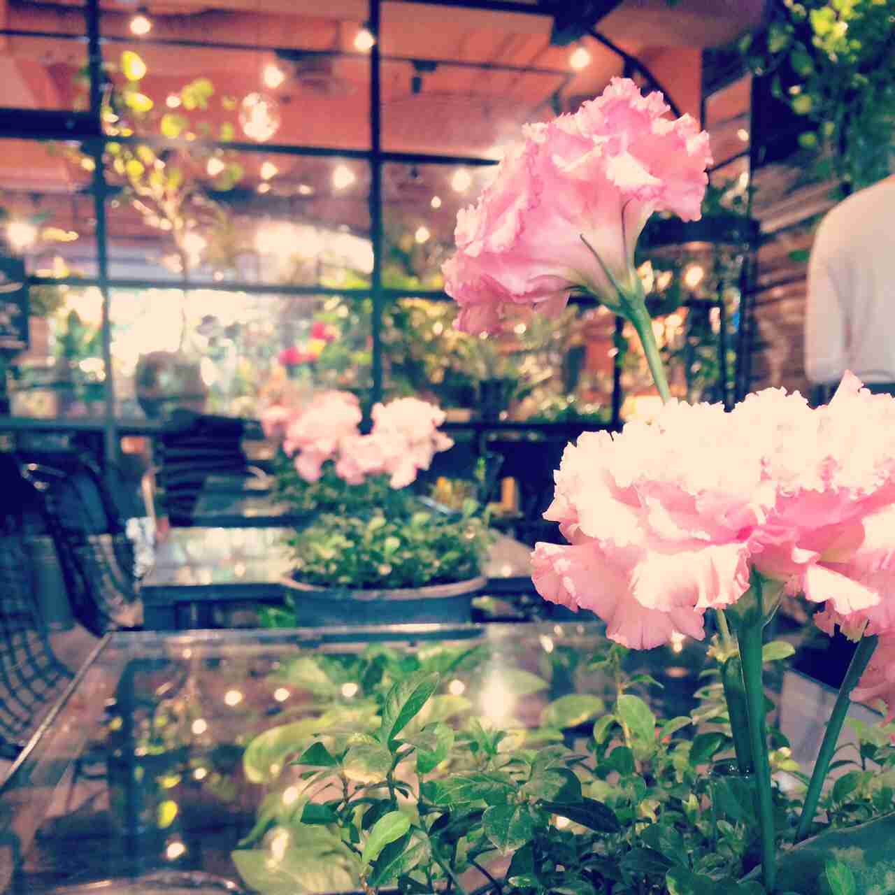 【画像】雰囲気のいいお店（レストラン、カフェなど）