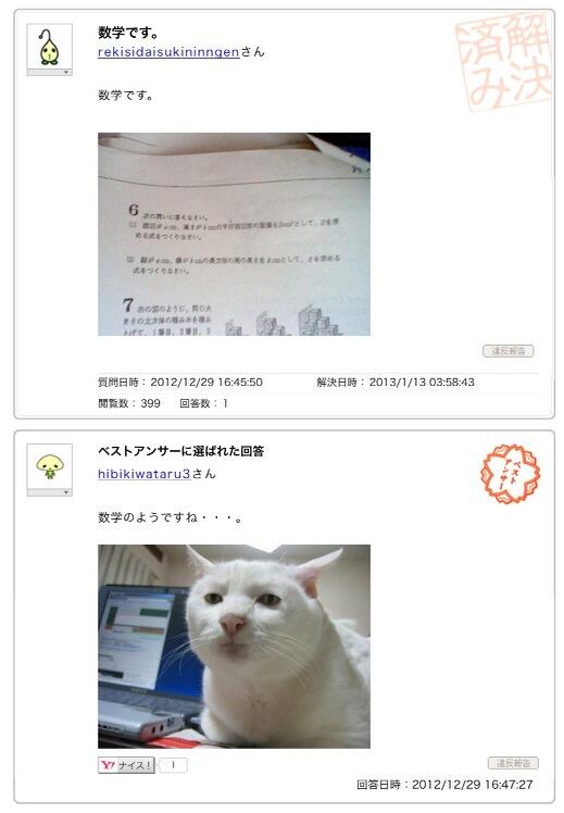 知恵袋の珍質問・珍回答