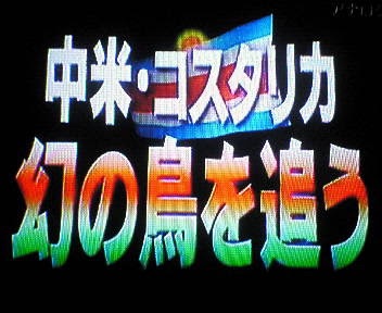 『水曜どうでしょう』好きな人