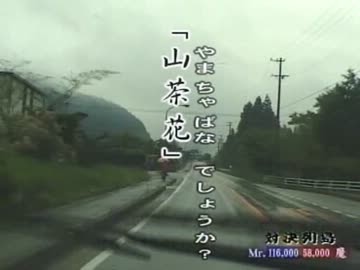 『水曜どうでしょう』好きな人