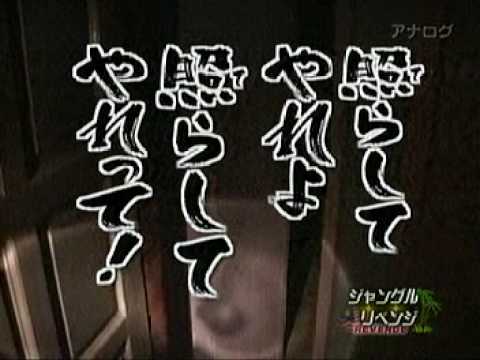 『水曜どうでしょう』好きな人