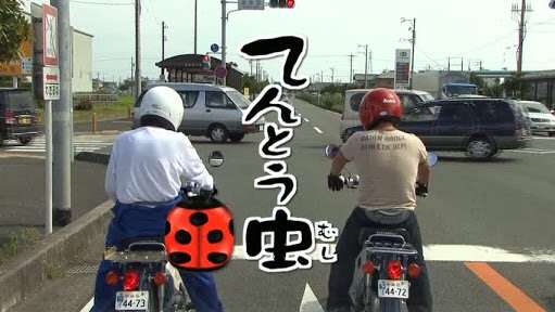 『水曜どうでしょう』好きな人