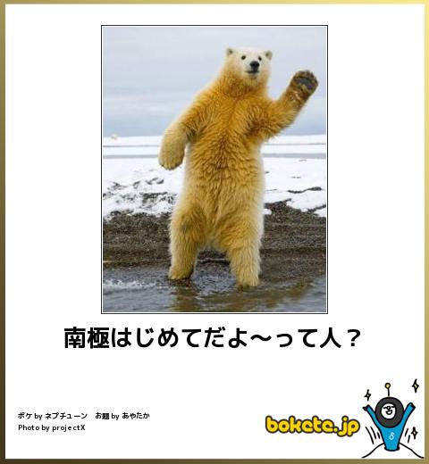 息を吐くようにボケるトピ
