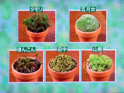 息を吐くようにボケるトピ