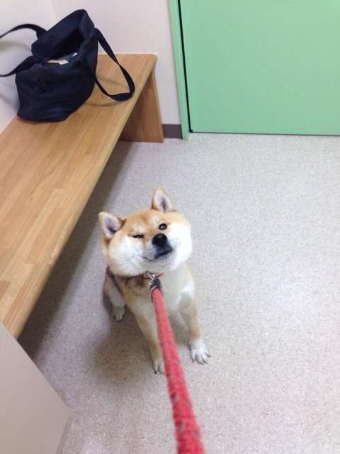 広瀬すず、
