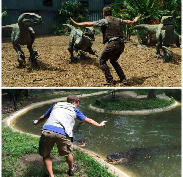 映画「ジュラシック・ワールド」の名シーンが、動物園の飼育員たちにより次々とコピーされる