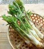 馴染みのない食べ物