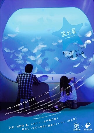 涼しくなるクラゲ画像