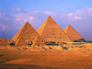 ヒトってすごいなと思ったこと