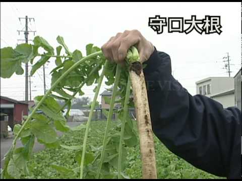 好調「天皇の料理番」に「郷ひろみが大根すぎる」という落とし穴!