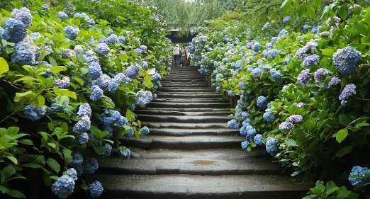 今月の楽しみな事