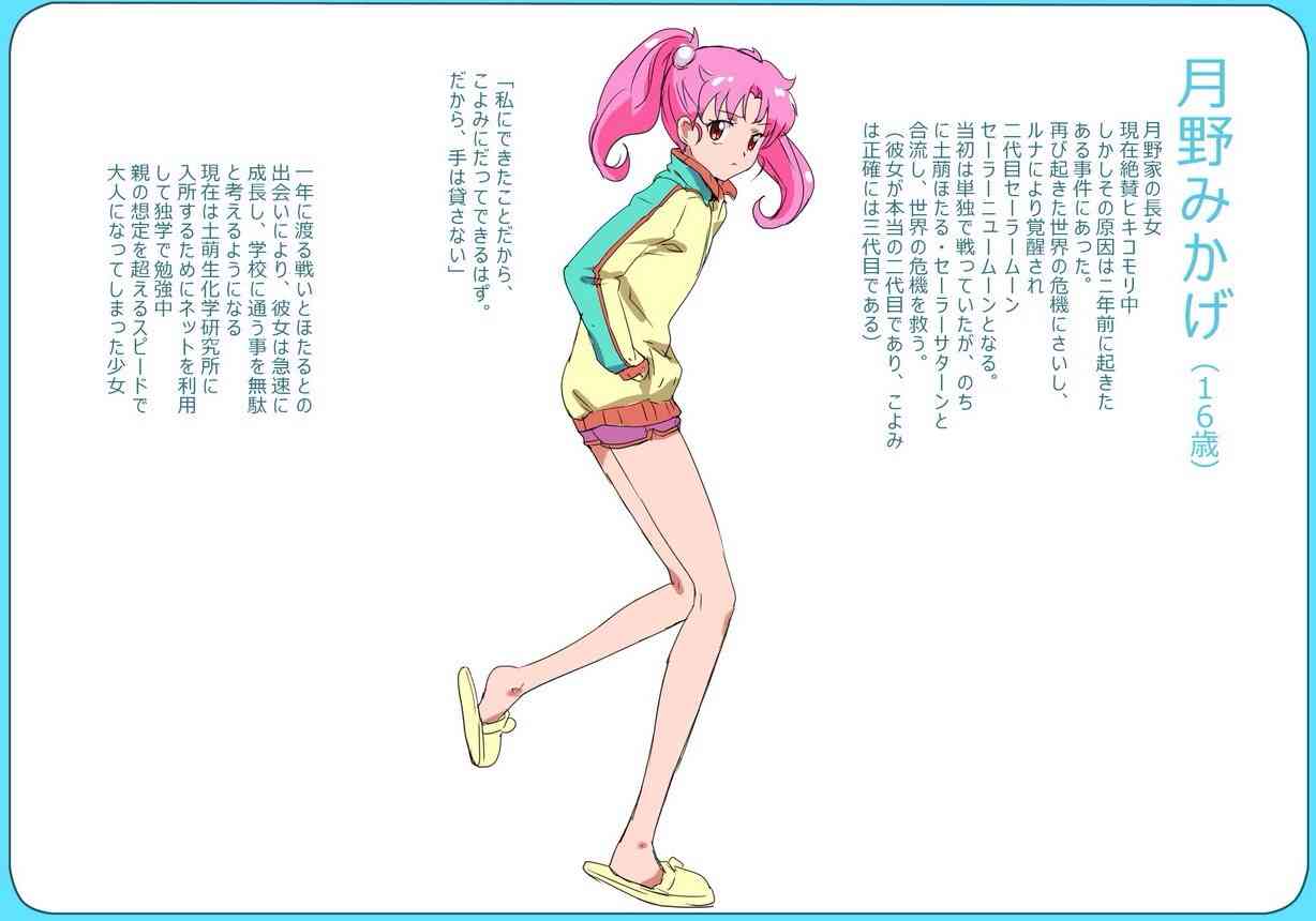 「セーラームーン」誰が好きでしたか?