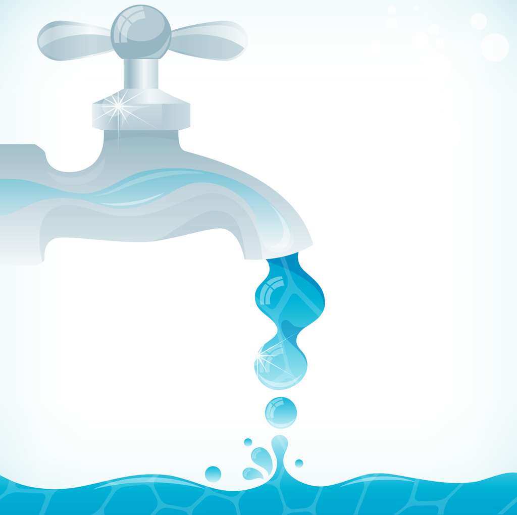 1日の水の摂取量は？