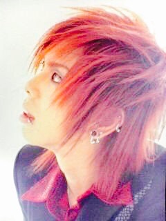 好きなバンドの好きなメンバーは⁉