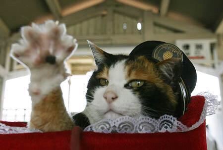 和歌山電鉄の名物三毛猫「たま駅長」が心不全で死去…16歳