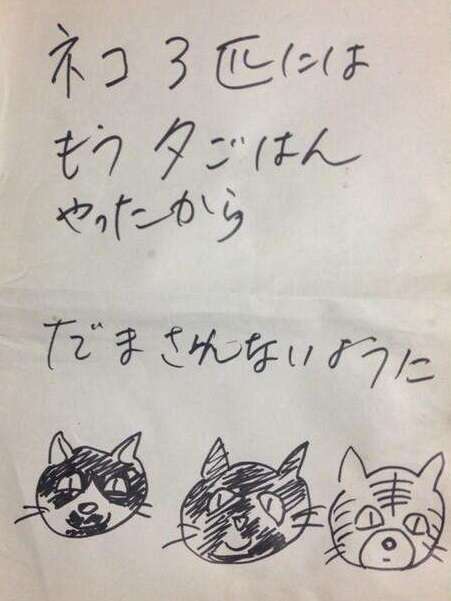 どんな種類の猫飼いたいですか?