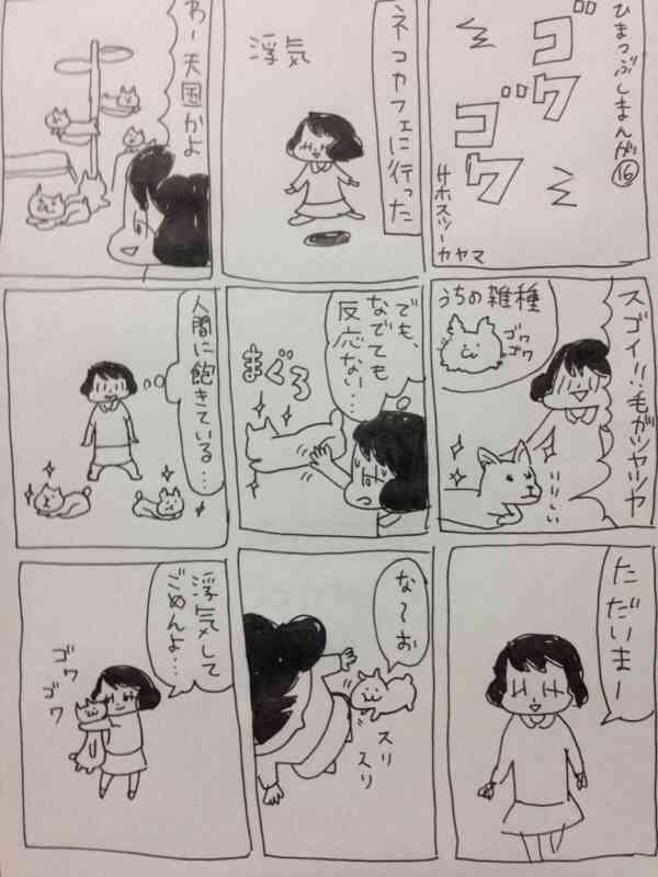 どんな種類の猫飼いたいですか?