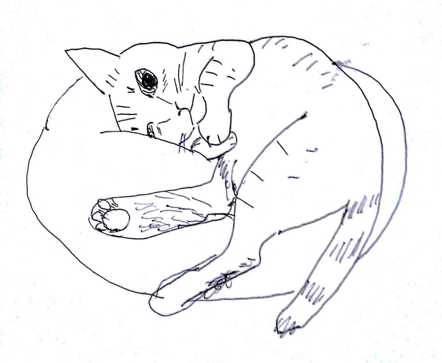 ペットの似顔絵を貼るトピ