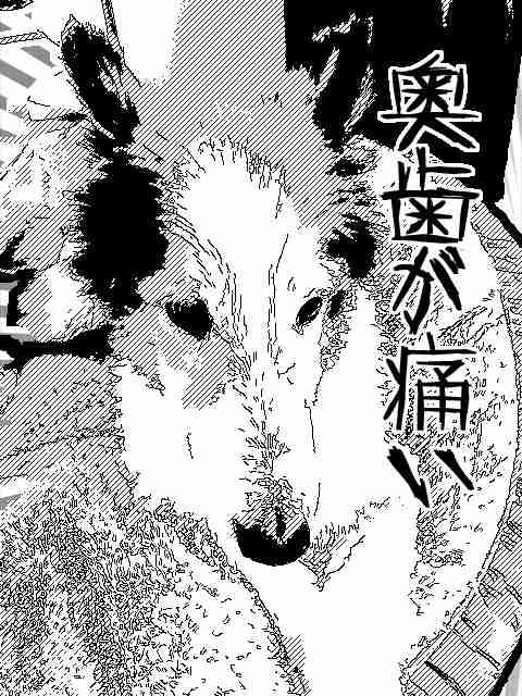 ペットの似顔絵を貼るトピ