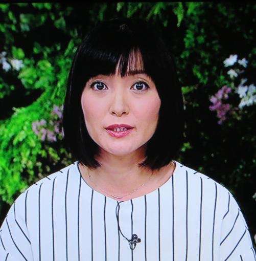 なんだか人気なくなったなぁと思う物